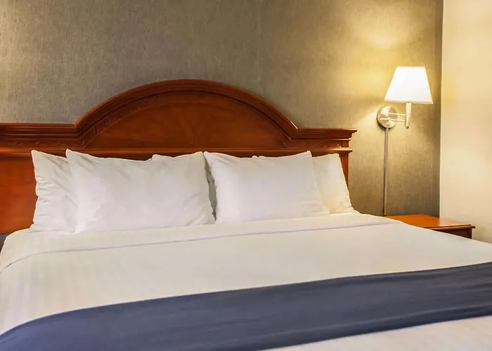 Quality & St Charles -west Chicago Hotel 4*